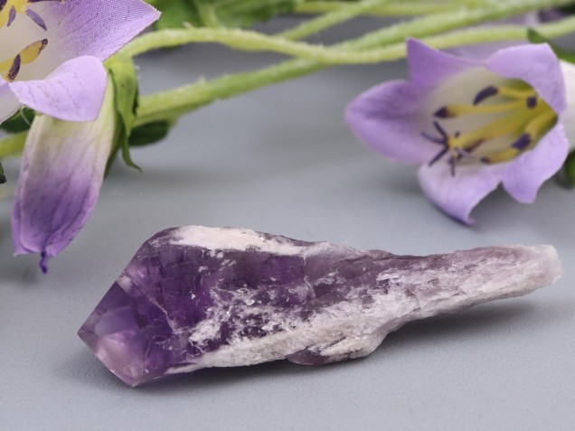 x media product foto jpg